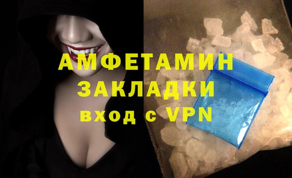 крисы Бронницы