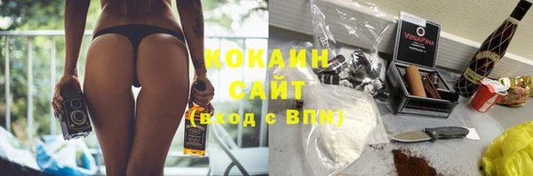 прущий лед Богданович