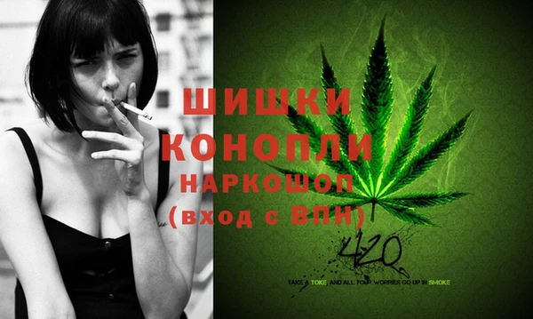 крисы Бронницы