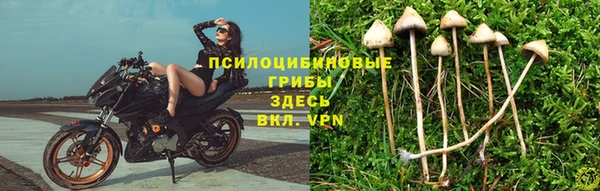крисы Бронницы