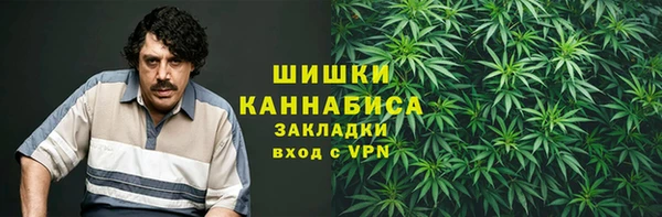 прущий лед Богданович