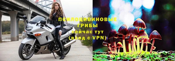 MESCALINE Бородино