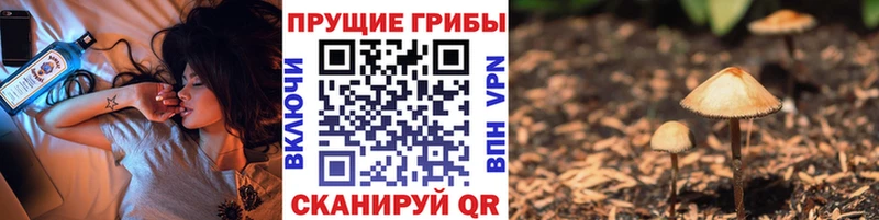 МЕГА   Константиновск  Галлюциногенные грибы мицелий 